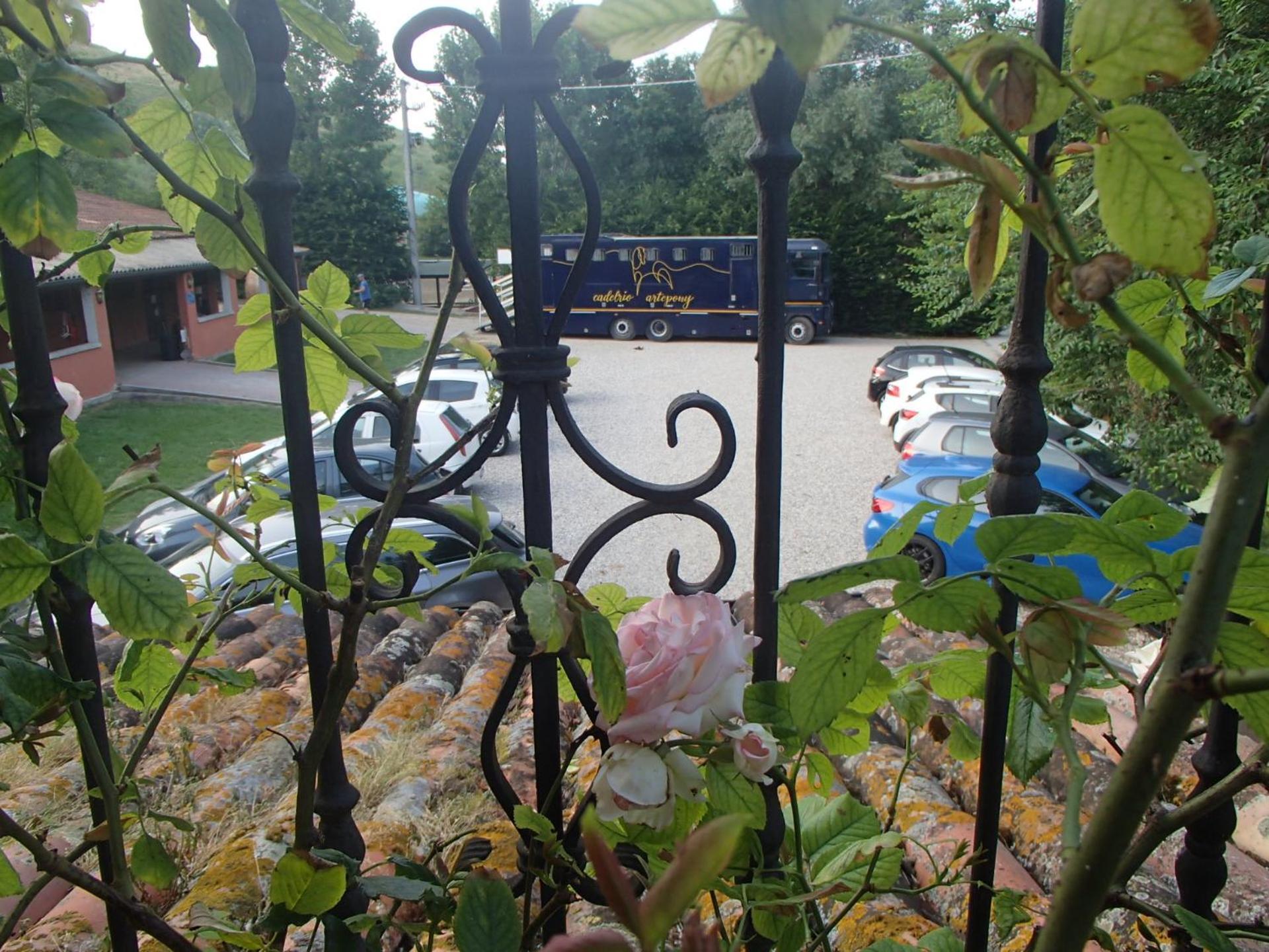Relais Ca Del Rio Villa Botteghino di Zocca Buitenkant foto